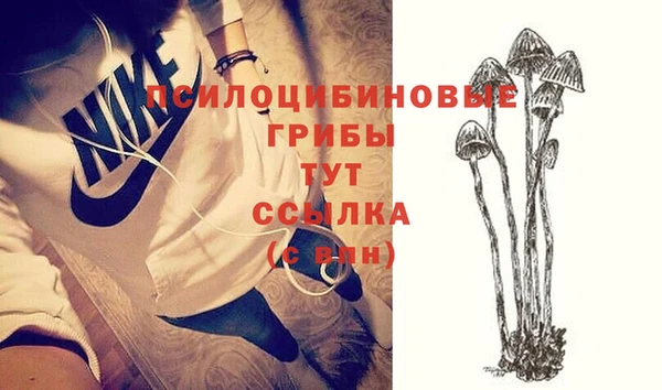 гидропоника Бронницы